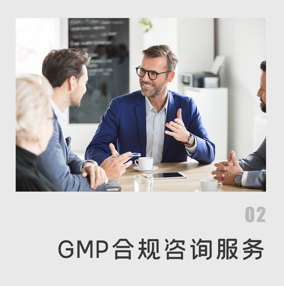 GMP咨询