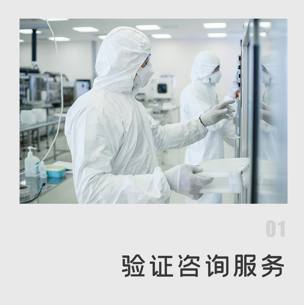 验证咨询
